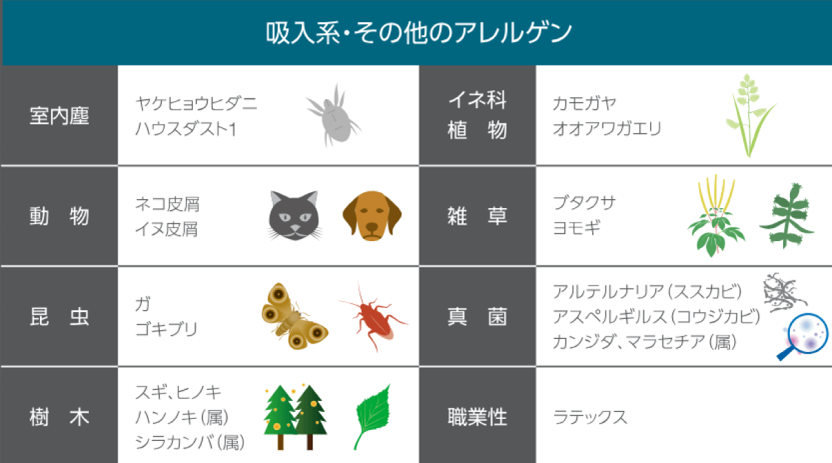 吸入系・その他のアレルゲン